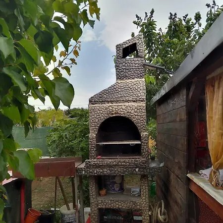 Casa Tonia Hotel Douăzeci şi Trei August